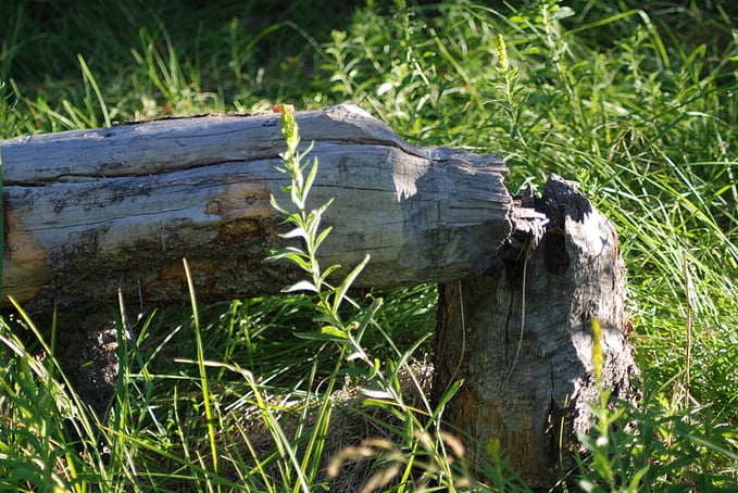 800px-Beaver_sign_on_Meeks_Creek_Aug_2010