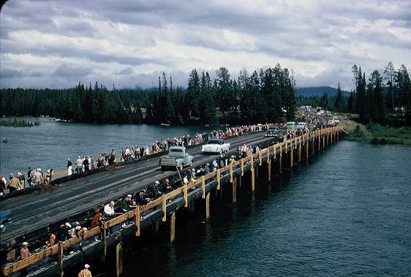 Fishing Bridge