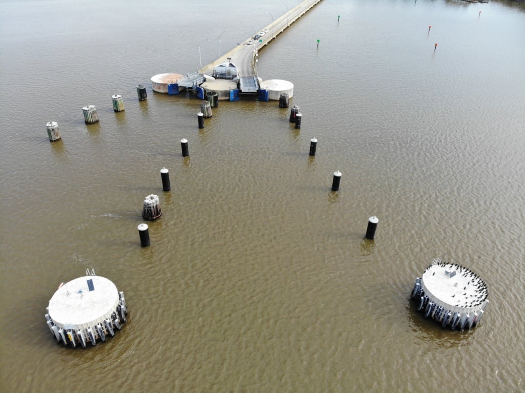 Jamestown case study image