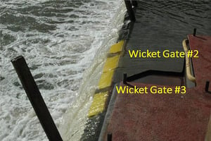 Wicket Gates