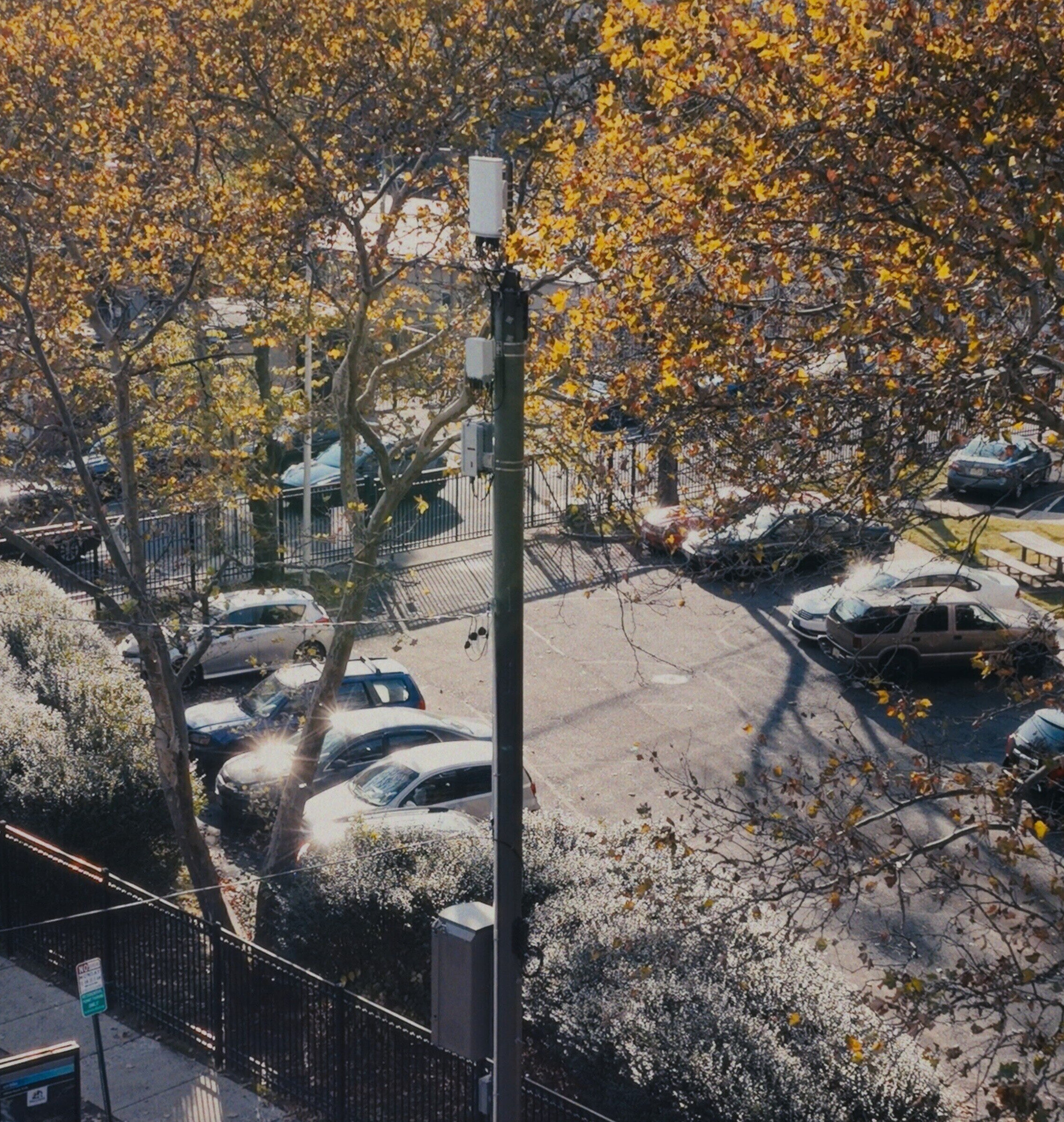 Storm Strong_telecom_pole_5-1-21-1-2-1