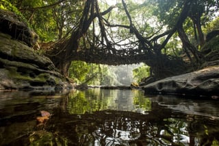 India Ped Bridge 2.jpg