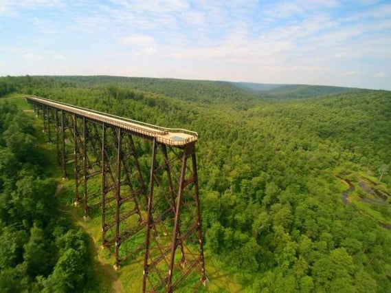 Kinzua Ped Bridge 1.jpg