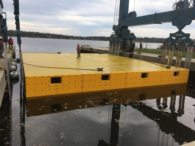 Assembled Camel in Drydock