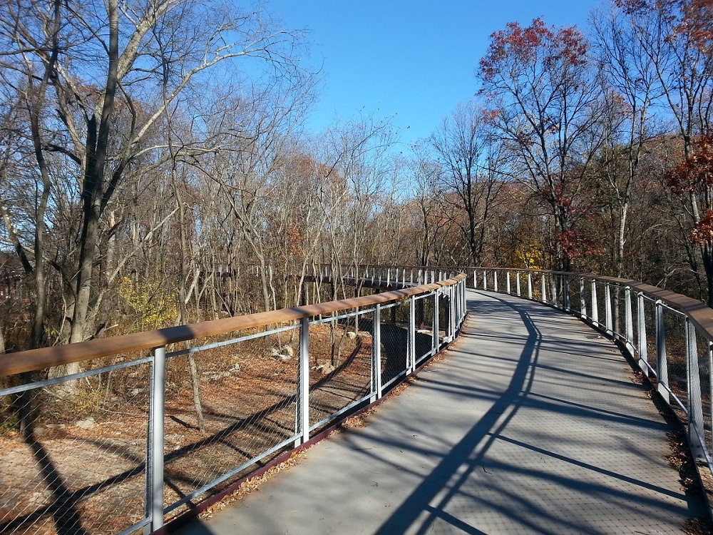 9 Completed Canopy Walk.jpg