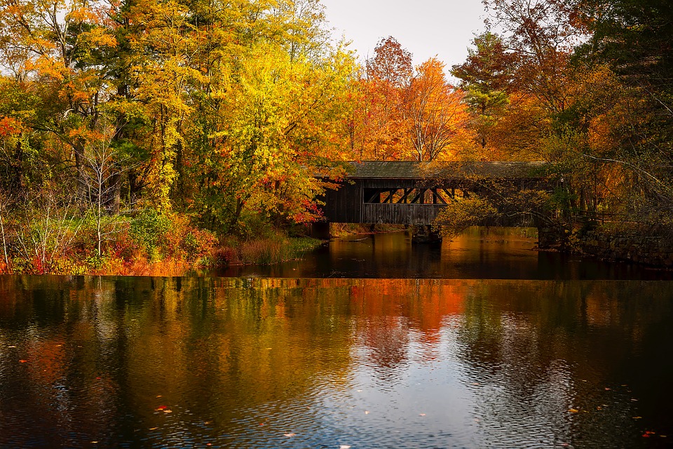 Covered bridge in fall with orange and yellow leaves on trees