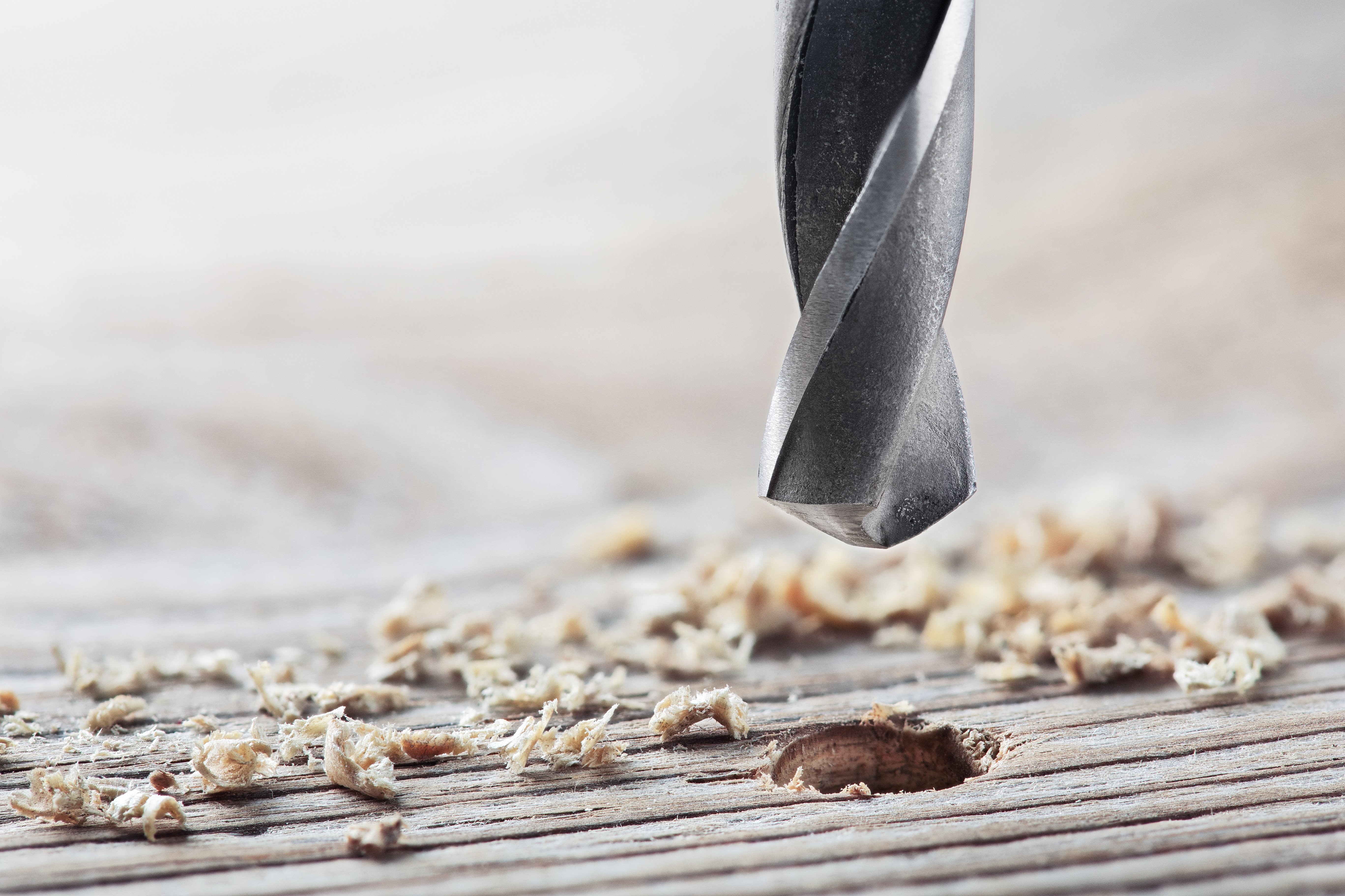 wood-drilling