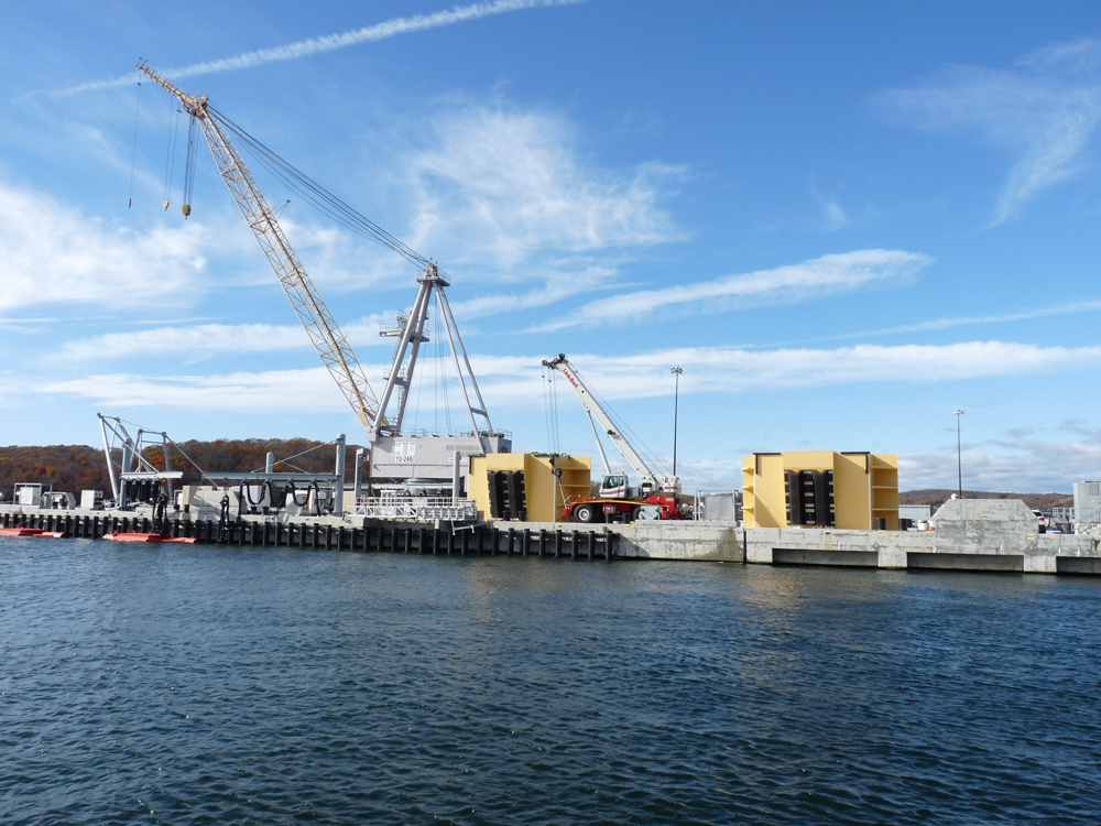 Camels on Pier Waiting For Water Installation