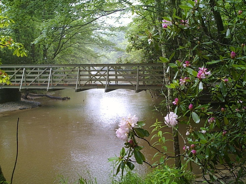 Blue Ridge Pkway North Carolina 35