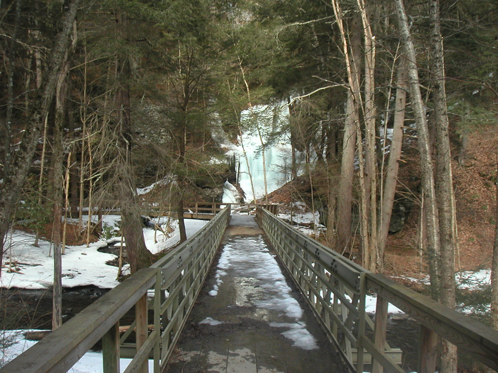 Dingman Falls DWG end view