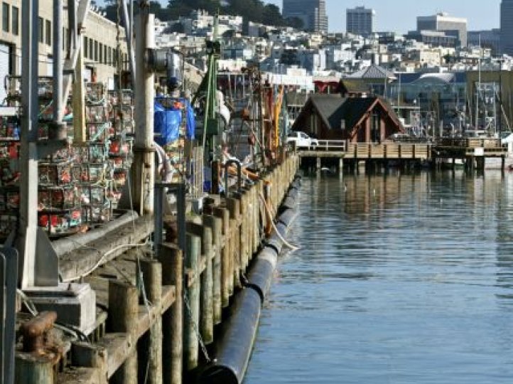 Fishermans Wharf San Fran 2