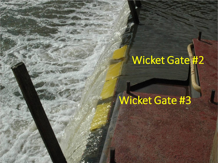 Wicket Gate, Illinois River